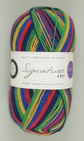 WYS - Signature 4 Ply - Winwick Mum Collection - 874 Brightside